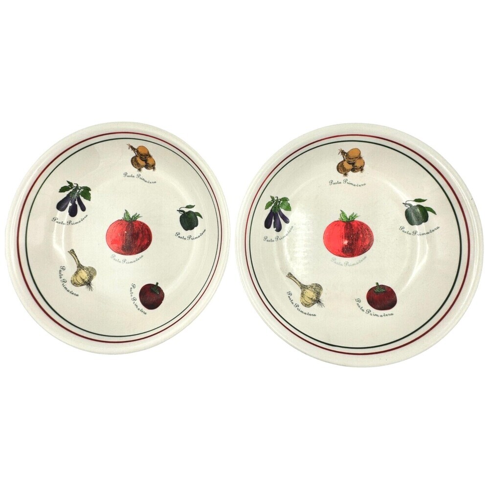 Pasta Primavera Bowls Set of 2 Vegetable Print Italian and Portugal Colours 9.5"